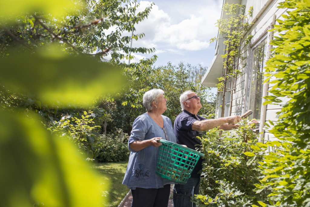 Et godt liv for ældre